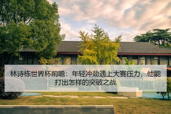 林诗栋世界杯前瞻：年轻冲劲遇上大赛压力，他能打出怎样的突破之战
